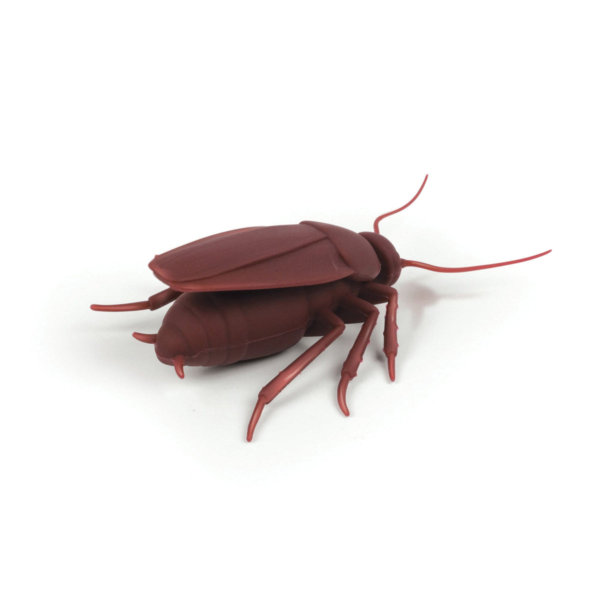 Corkroach product photo